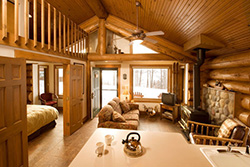 photo of a cabin